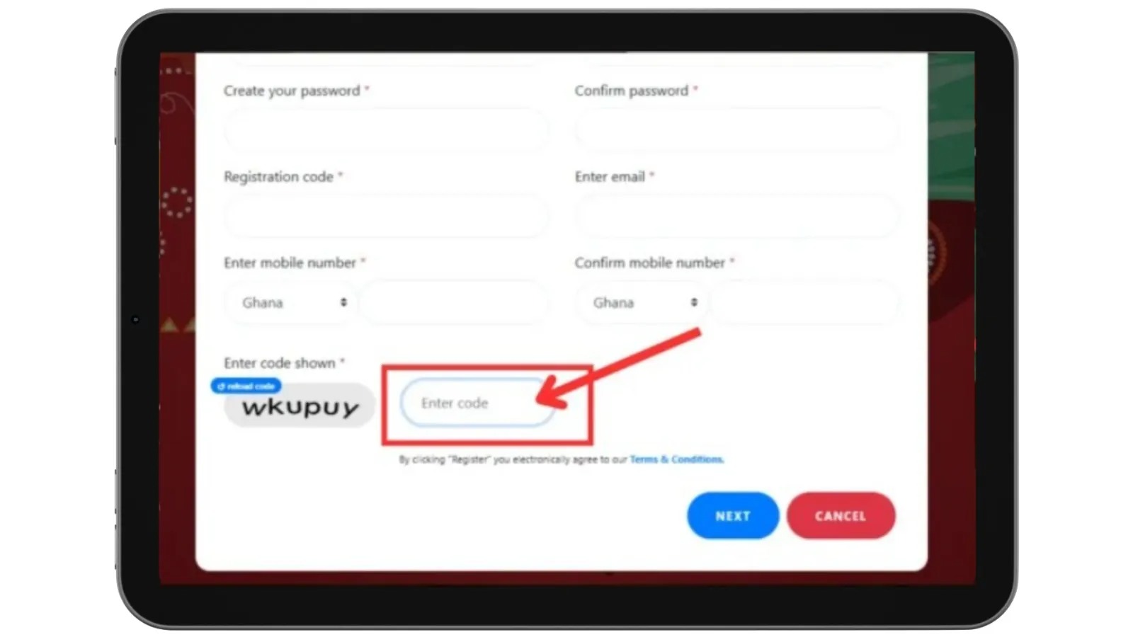 GoG ePayslip Ghana verification code field on registration form