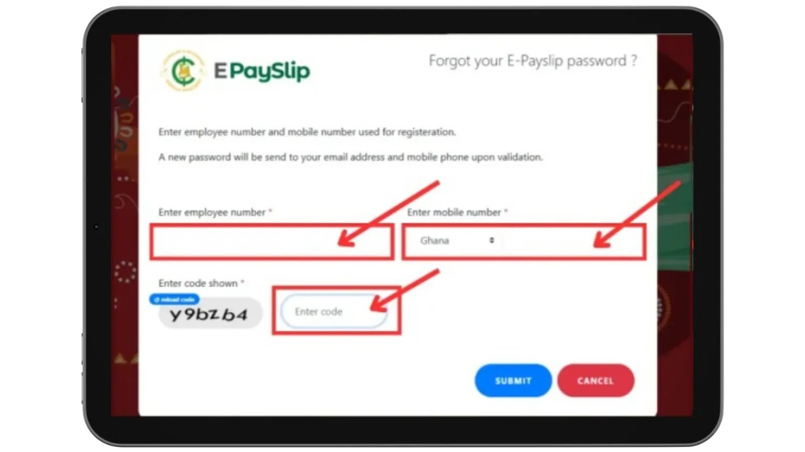 GoG ePayslip Ghana forgot password reset form screen